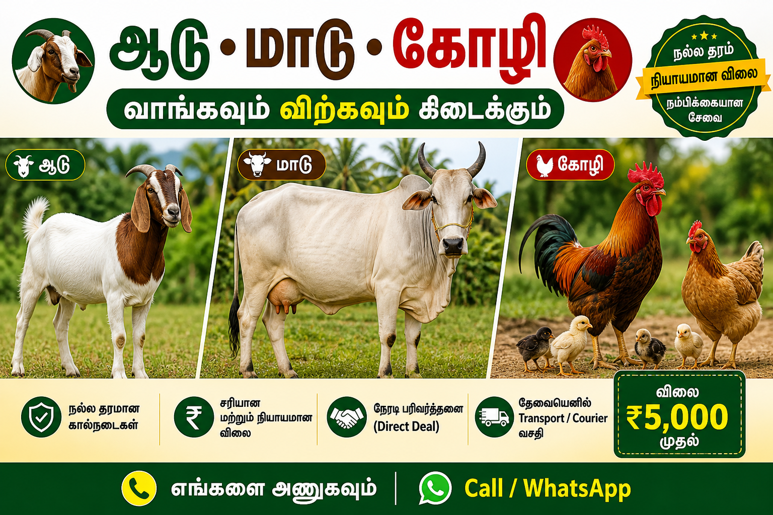 ஆடு, மாடு, கோழி வாங்க விற்க (goat, cow, chicken)