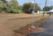 G. D. NAGAR