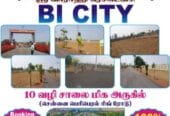 Bi City