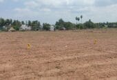 ZAN CITY PHASE-1