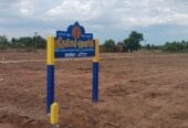 ZAN CITY PHASE-1