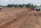 ZAN CITY PHASE-1