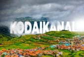 Best Travel Agency in Kodaikanal for Customized Holidays