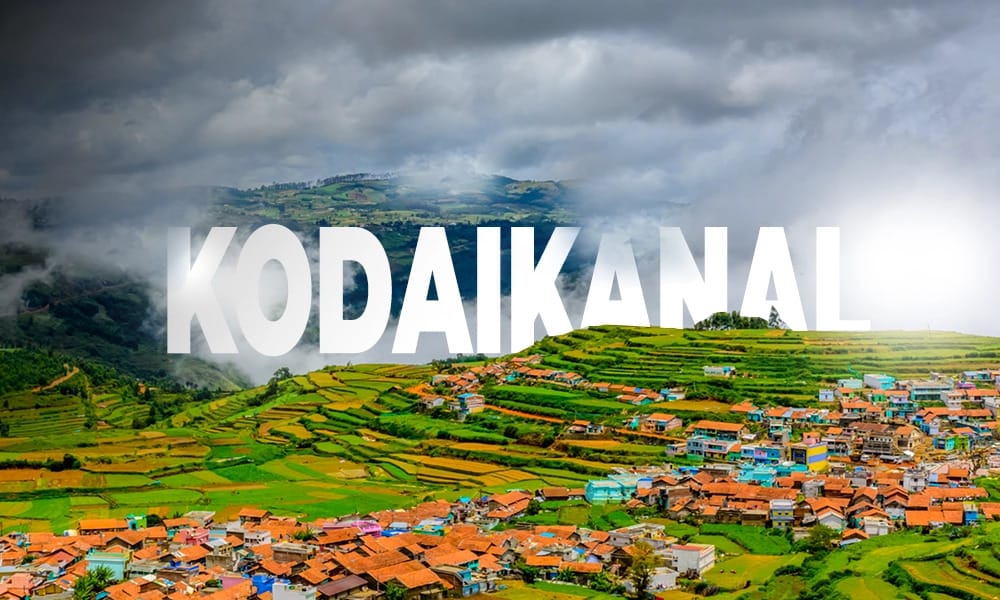 Best Travel Agency in Kodaikanal for Customized Holidays