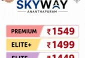 Vision Skyway