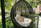 Raj Furniture Premium Single Seater Egg Swing Chair With Stand And cushion